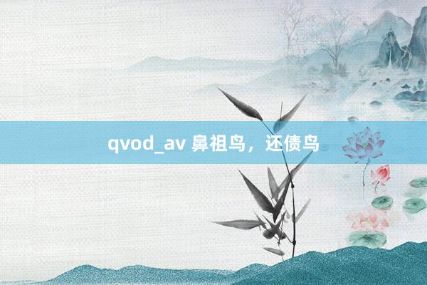 qvod_av 鼻祖鸟，还债鸟