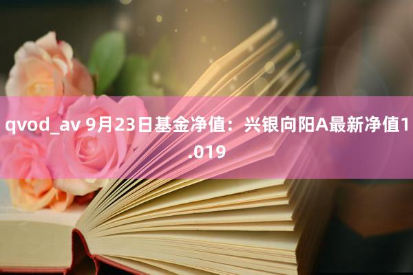 qvod_av 9月23日基金净值：兴银向阳A最新净值1.019