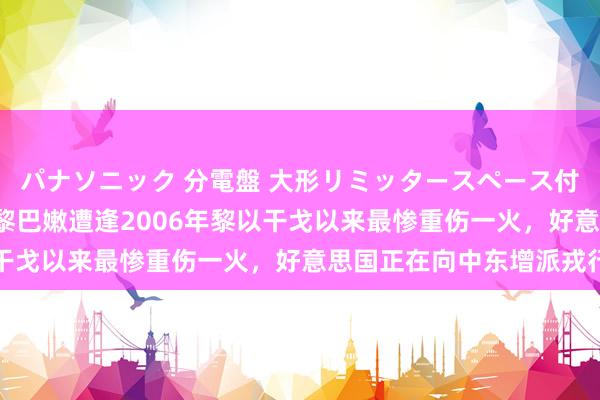 パナソニック 分電盤 大形リミッタースペース付 露出・半埋込両用形 黎巴嫩遭逢2006年黎以干戈以来最惨重伤一火，好意思国正在向中东增派戎行
