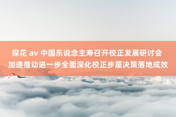 探花 av 中国东说念主寿召开校正发展研讨会 加速推动进一步全面深化校正步履决策落地成效