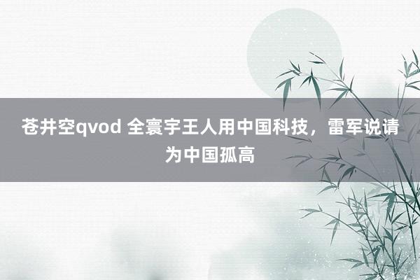 苍井空qvod 全寰宇王人用中国科技，雷军说请为中国孤高