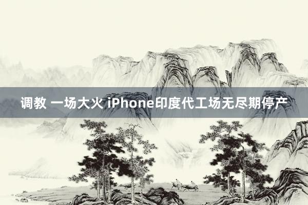 调教 一场大火 iPhone印度代工场无尽期停产