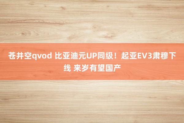苍井空qvod 比亚迪元UP同级！起亚EV3肃穆下线 来岁有望国产
