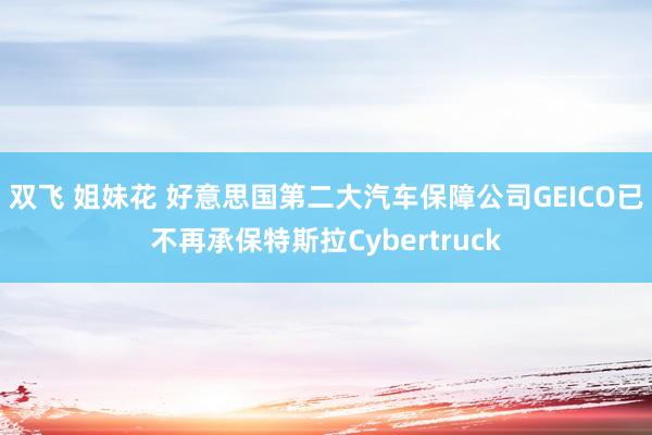 双飞 姐妹花 好意思国第二大汽车保障公司GEICO已不再承保特斯拉Cybertruck