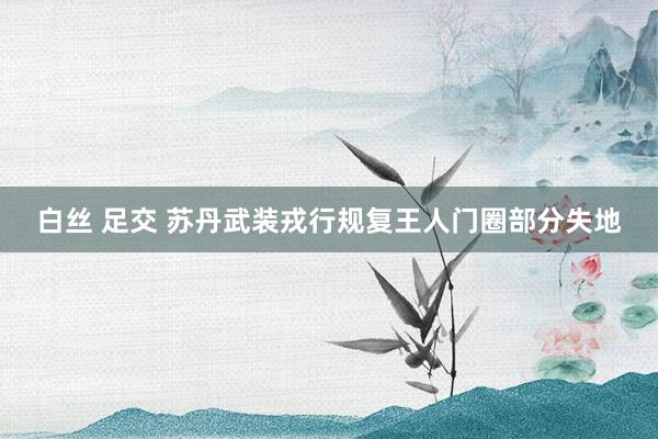 白丝 足交 苏丹武装戎行规复王人门圈部分失地