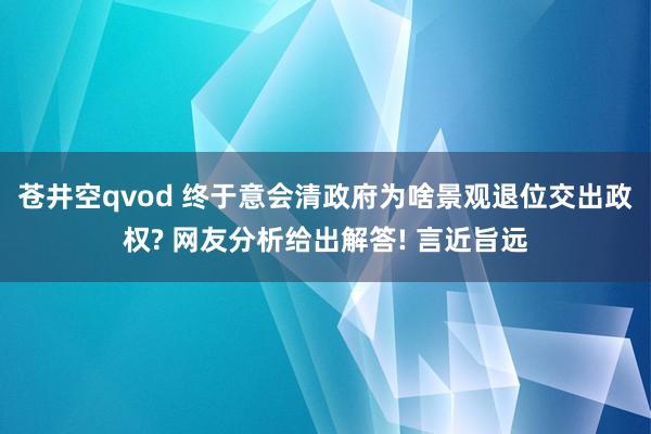 苍井空qvod 终于意会清政府为啥景观退位交出政权? 网友分析给出解答! 言近旨远