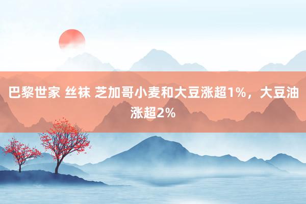 巴黎世家 丝袜 芝加哥小麦和大豆涨超1%，大豆油涨超2%