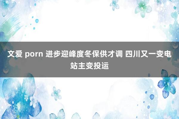 文爱 porn 进步迎峰度冬保供才调 四川又一变电站主变投运