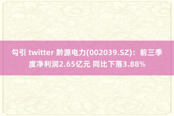 勾引 twitter 黔源电力(002039.SZ)：前三季度净利润2.65亿元 同比下落3.88%