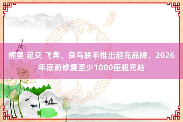楠里 足交 飞奔、良马联手推出超充品牌，2026年底前修复至少1000座超充站