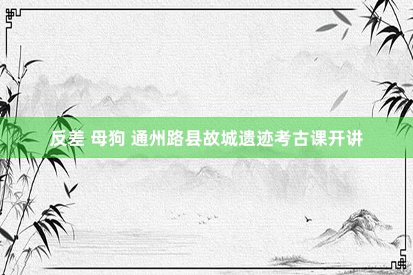 反差 母狗 通州路县故城遗迹考古课开讲