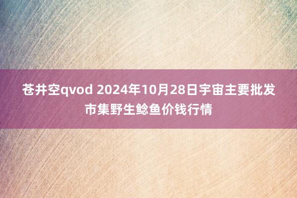 苍井空qvod 2024年10月28日宇宙主要批发市集野生鲶鱼价钱行情