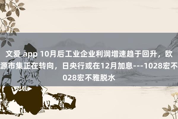 文爱 app 10月后工业企业利润增速趋于回升，欧洲劳能源市集正在转向，日央行或在12月加息---1028宏不雅脱水