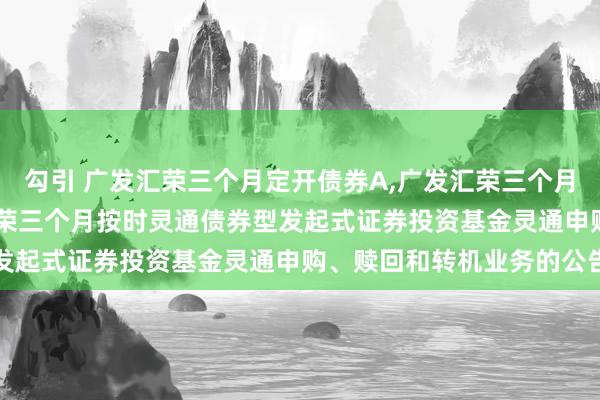 勾引 广发汇荣三个月定开债券A,广发汇荣三个月定开债券C: 对于广发汇荣三个月按时灵通债券型发起式证券投资基金灵通申购、赎回和转机业务的公告