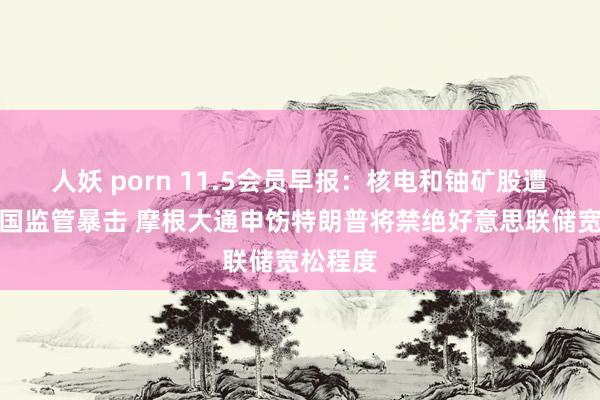 人妖 porn 11.5会员早报：核电和铀矿股遭好意思国监管暴击 摩根大通申饬特朗普将禁绝好意思联储宽松程度