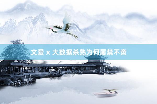 文爱 x 大数据杀熟为何屡禁不啻