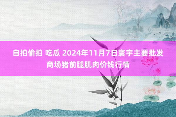 自拍偷拍 吃瓜 2024年11月7日寰宇主要批发商场猪前腿肌肉价钱行情