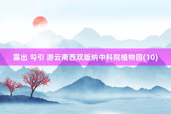 露出 勾引 游云南西双版纳中科院植物园(10)