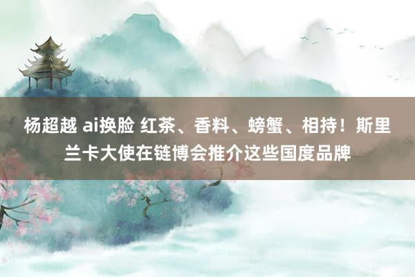 杨超越 ai换脸 红茶、香料、螃蟹、相持！斯里兰卡大使在链博会推介这些国度品牌
