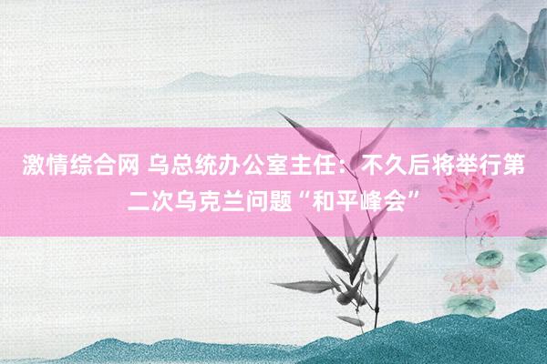 激情综合网 乌总统办公室主任：不久后将举行第二次乌克兰问题“和平峰会”