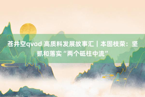 苍井空qvod 高质料发展故事汇｜本固枝荣：坚抓和落实“两个砥柱中流”
