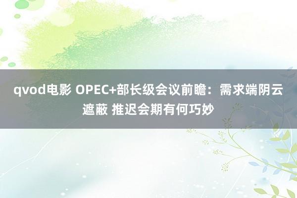 qvod电影 OPEC+部长级会议前瞻：需求端阴云遮蔽 推迟会期有何巧妙