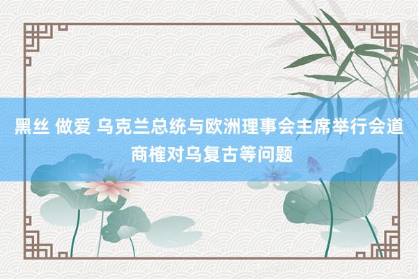 黑丝 做爱 乌克兰总统与欧洲理事会主席举行会道 商榷对乌复古等问题