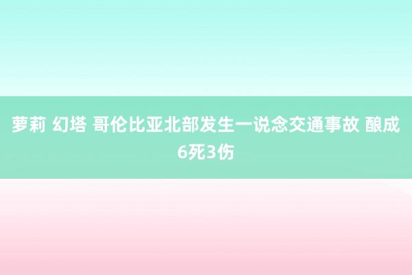 萝莉 幻塔 哥伦比亚北部发生一说念交通事故 酿成6死3伤
