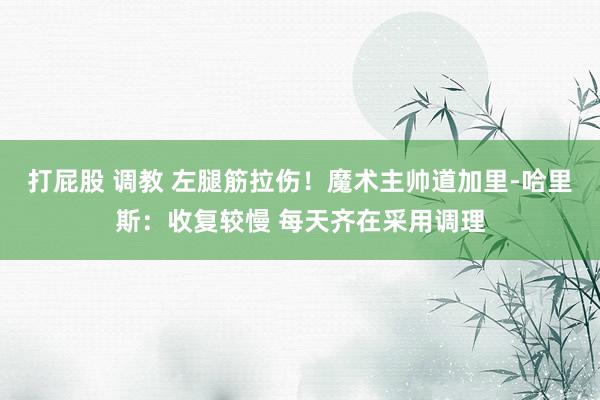 打屁股 调教 左腿筋拉伤！魔术主帅道加里-哈里斯：收复较慢 每天齐在采用调理