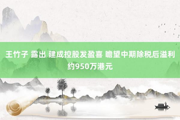 王竹子 露出 建成控股发盈喜 瞻望中期除税后溢利约950万港元