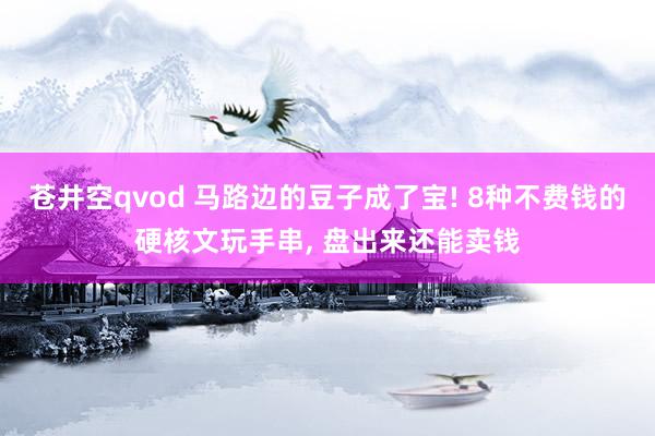 苍井空qvod 马路边的豆子成了宝! 8种不费钱的硬核文玩手串， 盘出来还能卖钱