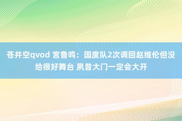苍井空qvod 宫鲁鸣：国度队2次调回赵维伦但没给很好舞台 夙昔大门一定会大开