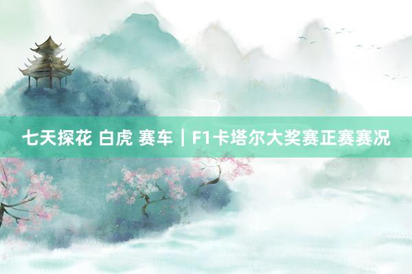 七天探花 白虎 赛车｜F1卡塔尔大奖赛正赛赛况