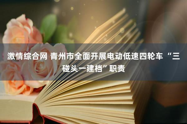 激情综合网 青州市全面开展电动低速四轮车 “三碰头一建档”职责