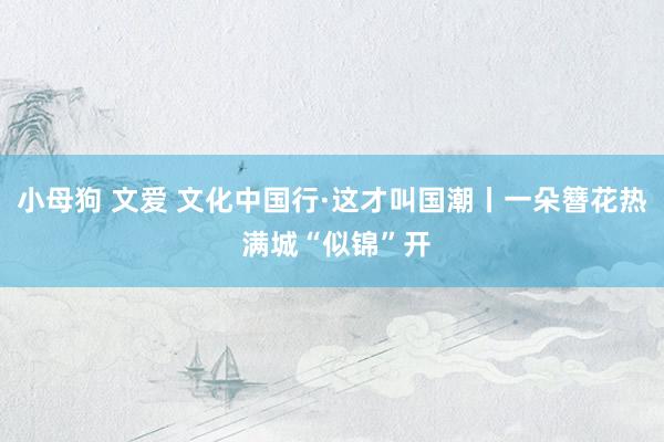 小母狗 文爱 文化中国行·这才叫国潮丨一朵簪花热 满城“似锦”开