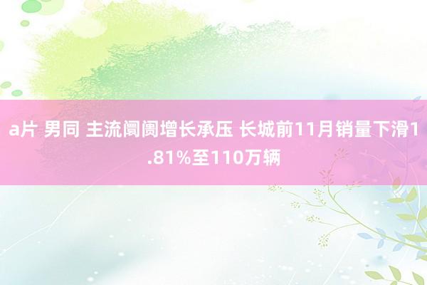 a片 男同 主流阛阓增长承压 长城前11月销量下滑1.81%至110万辆
