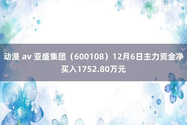 动漫 av 亚盛集团（600108）12月6日主力资金净买入1752.80万元