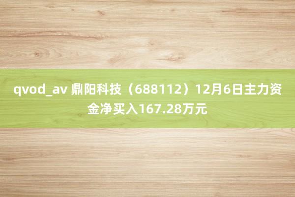 qvod_av 鼎阳科技（688112）12月6日主力资金净买入167.28万元