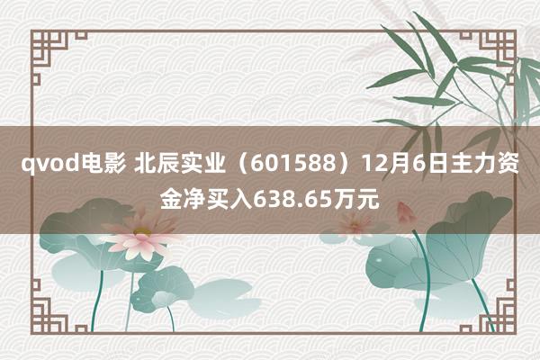 qvod电影 北辰实业（601588）12月6日主力资金净买入638.65万元