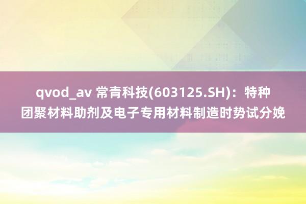 qvod_av 常青科技(603125.SH)：特种团聚材料助剂及电子专用材料制造时势试分娩