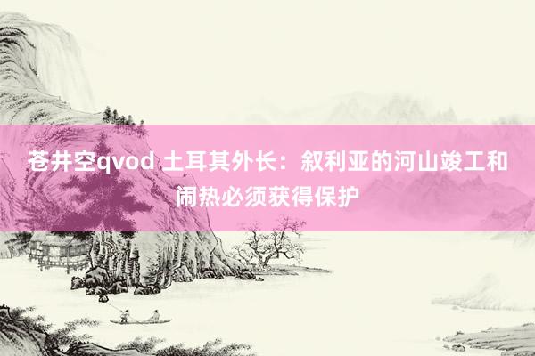 苍井空qvod 土耳其外长：叙利亚的河山竣工和闹热必须获得保护