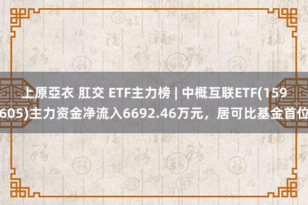上原亞衣 肛交 ETF主力榜 | 中概互联ETF(159605)主力资金净流入6692.46万元，居可比基金首位