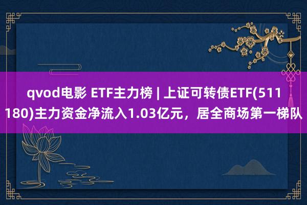 qvod电影 ETF主力榜 | 上证可转债ETF(511180)主力资金净流入1.03亿元，居全商场第一梯队