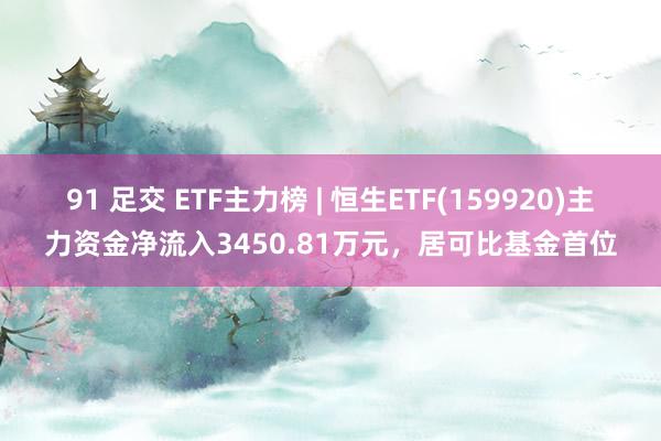 91 足交 ETF主力榜 | 恒生ETF(159920)主力资金净流入3450.81万元，居可比基金首位