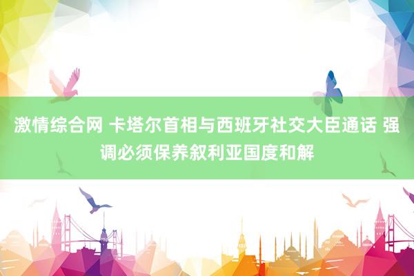 激情综合网 卡塔尔首相与西班牙社交大臣通话 强调必须保养叙利亚国度和解