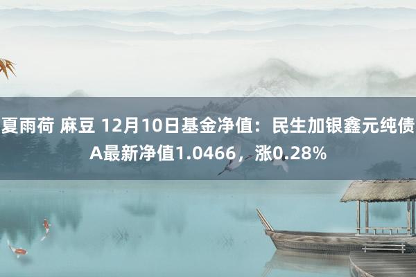 夏雨荷 麻豆 12月10日基金净值：民生加银鑫元纯债A最新净值1.0466，涨0.28%