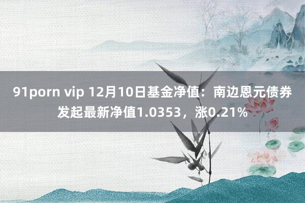 91porn vip 12月10日基金净值：南边恩元债券发起最新净值1.0353，涨0.21%