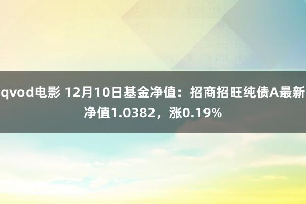 qvod电影 12月10日基金净值：招商招旺纯债A最新净值1.0382，涨0.19%