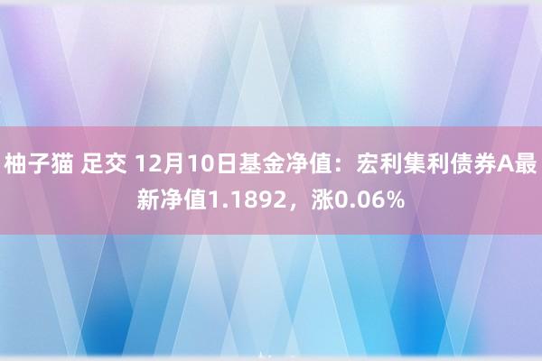 柚子猫 足交 12月10日基金净值：宏利集利债券A最新净值1.1892，涨0.06%