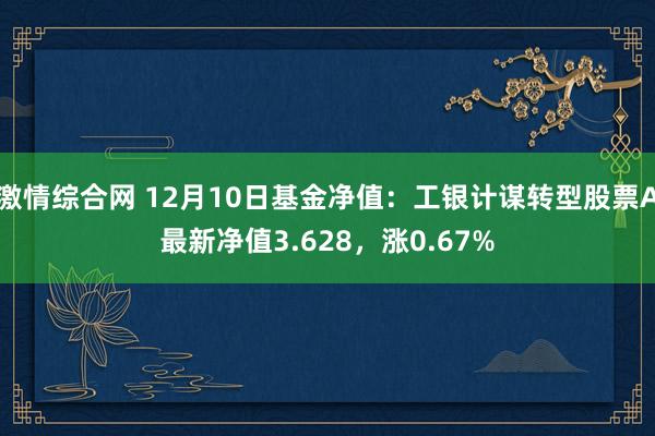 激情综合网 12月10日基金净值：工银计谋转型股票A最新净值3.628，涨0.67%